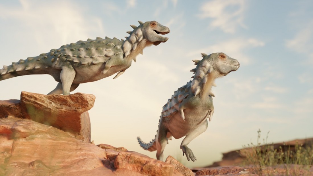 Jakapil kaniukura dinosaurs from Argentina