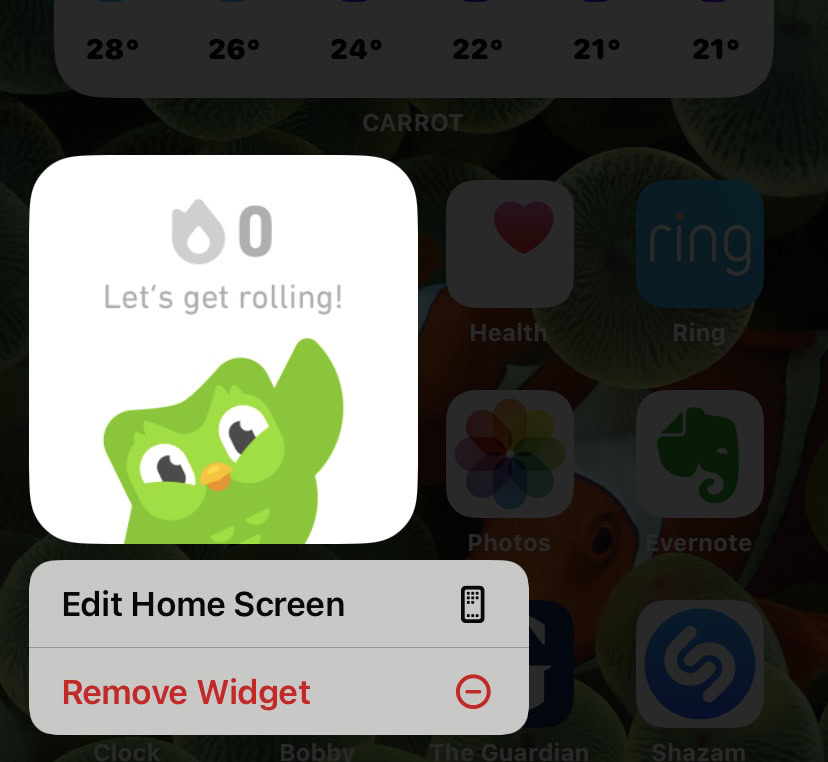 ios remove widget