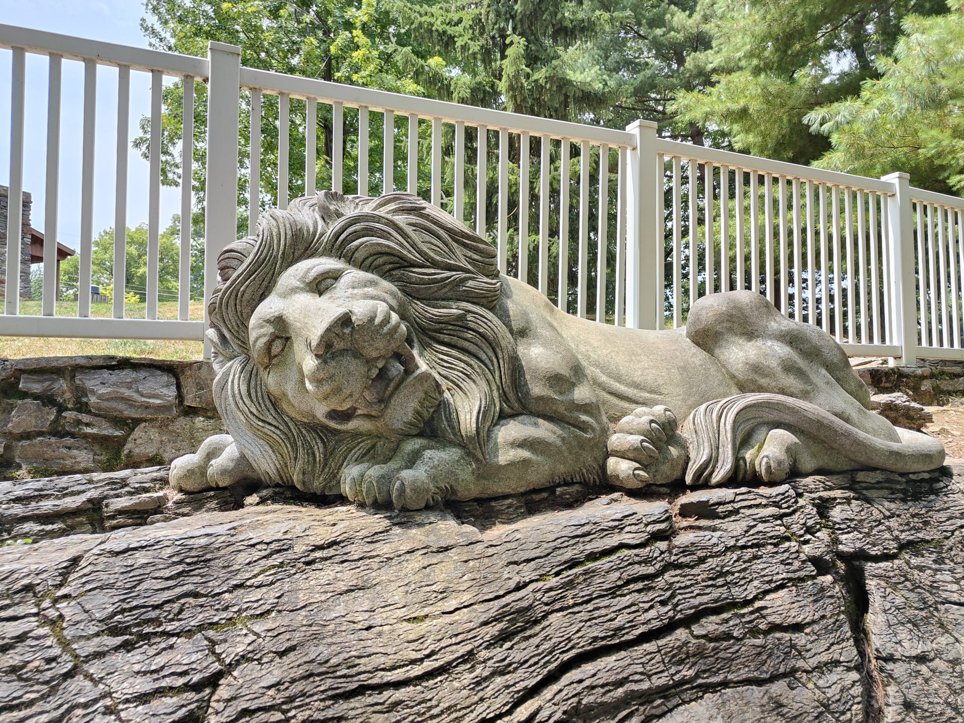 oneplus 10t Lion statue standard