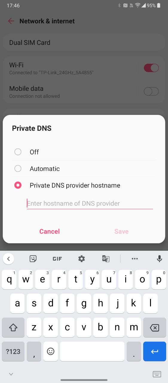 private dns settings screenshot