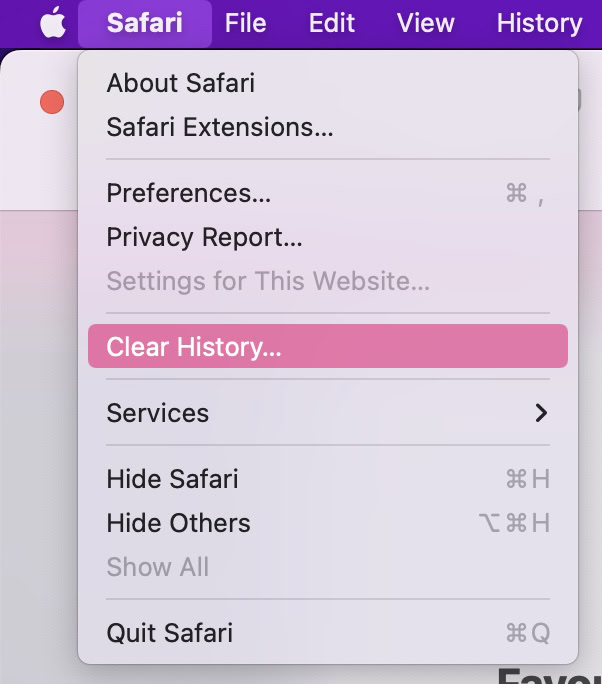 safari clear history disabled