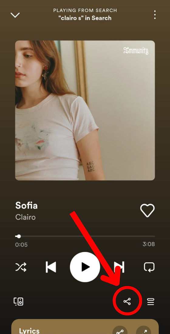spotify app song full screen share button