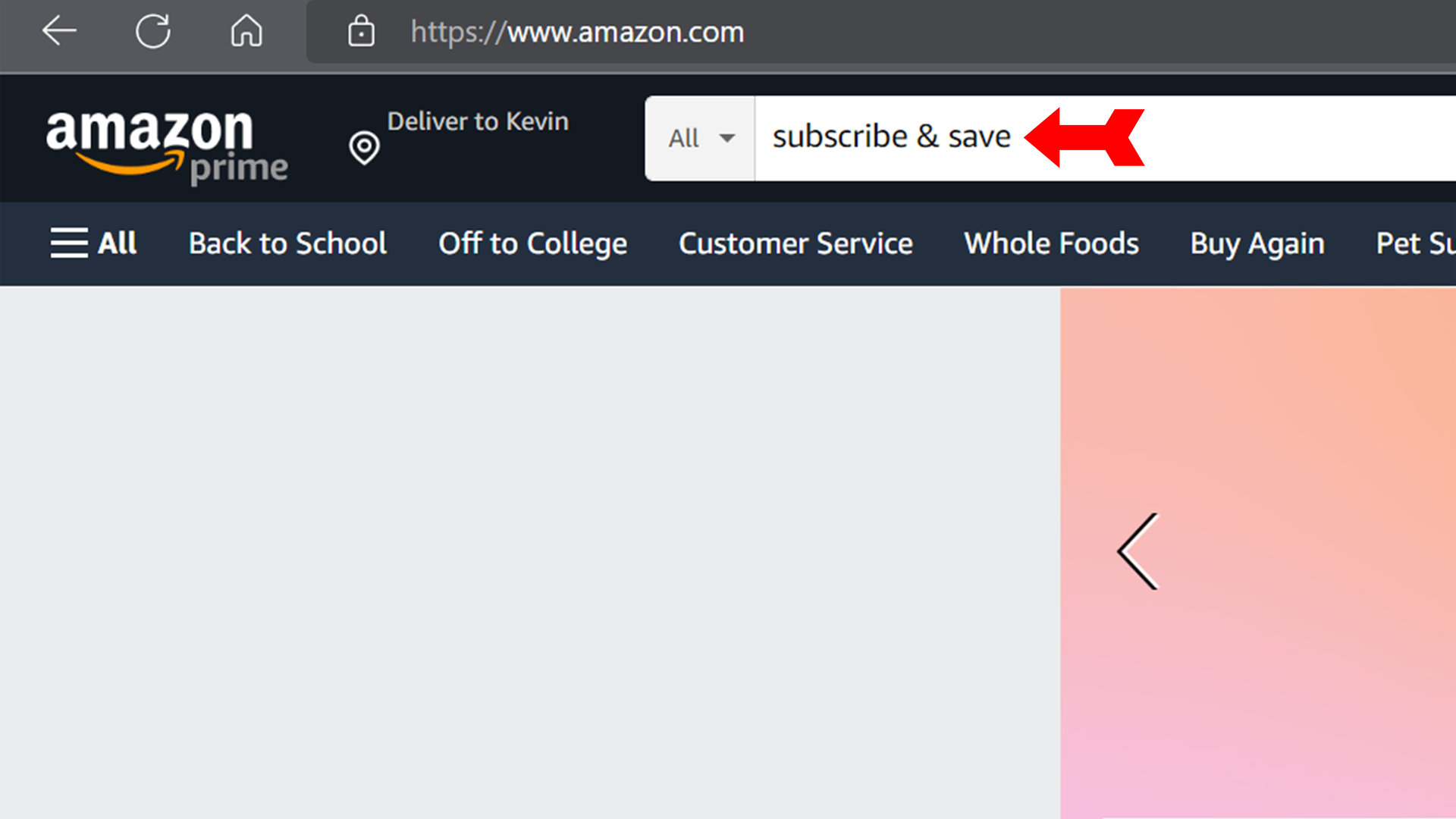 Cancel Subscribe and Save search terms