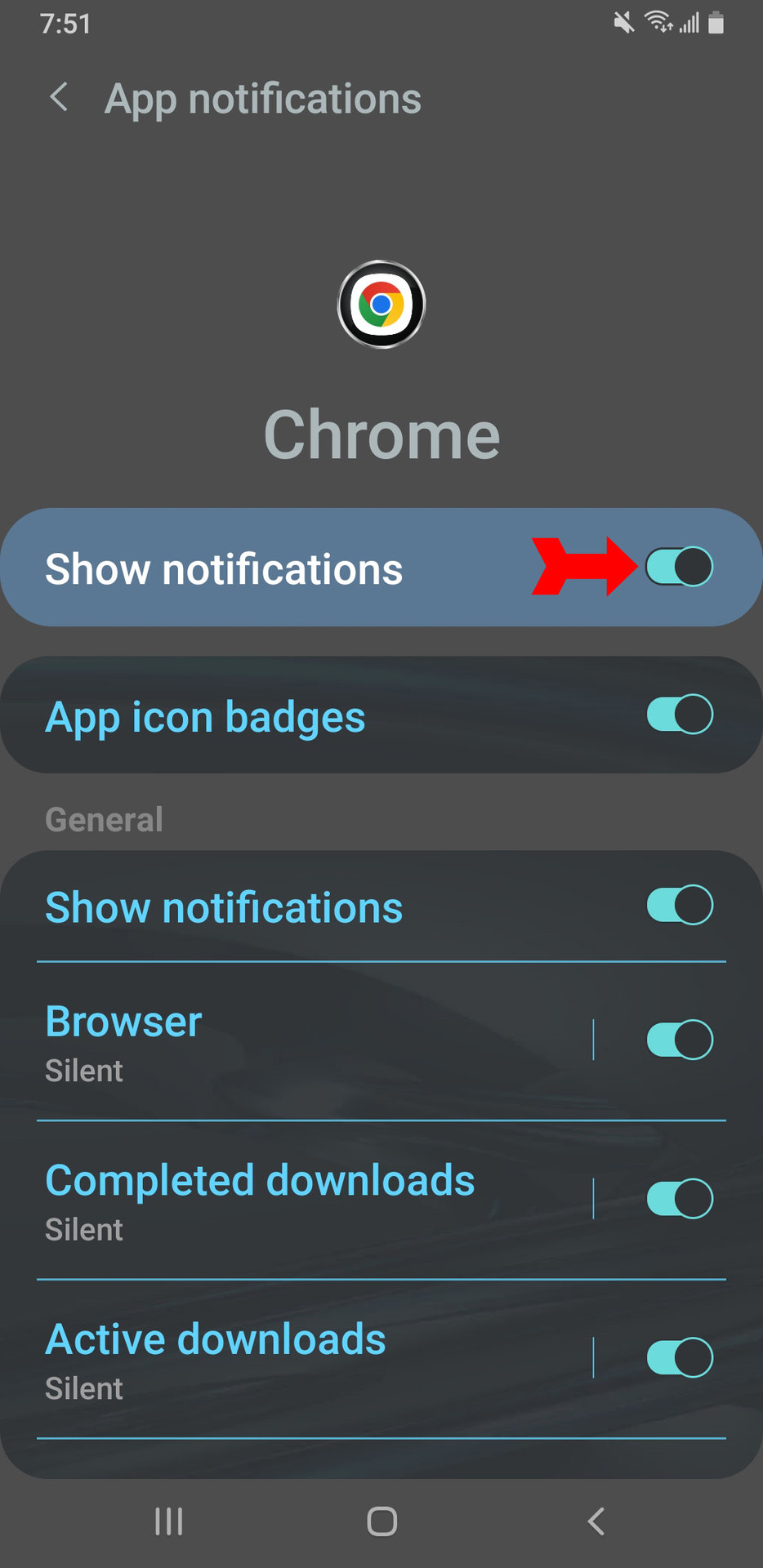 Android Turn Off Notifications Switch