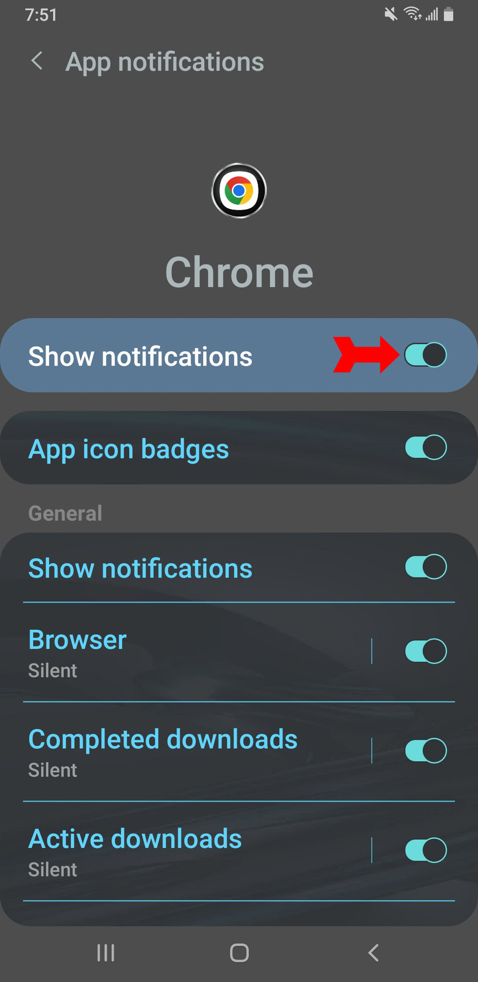 Android Turn Off Notifications Switch