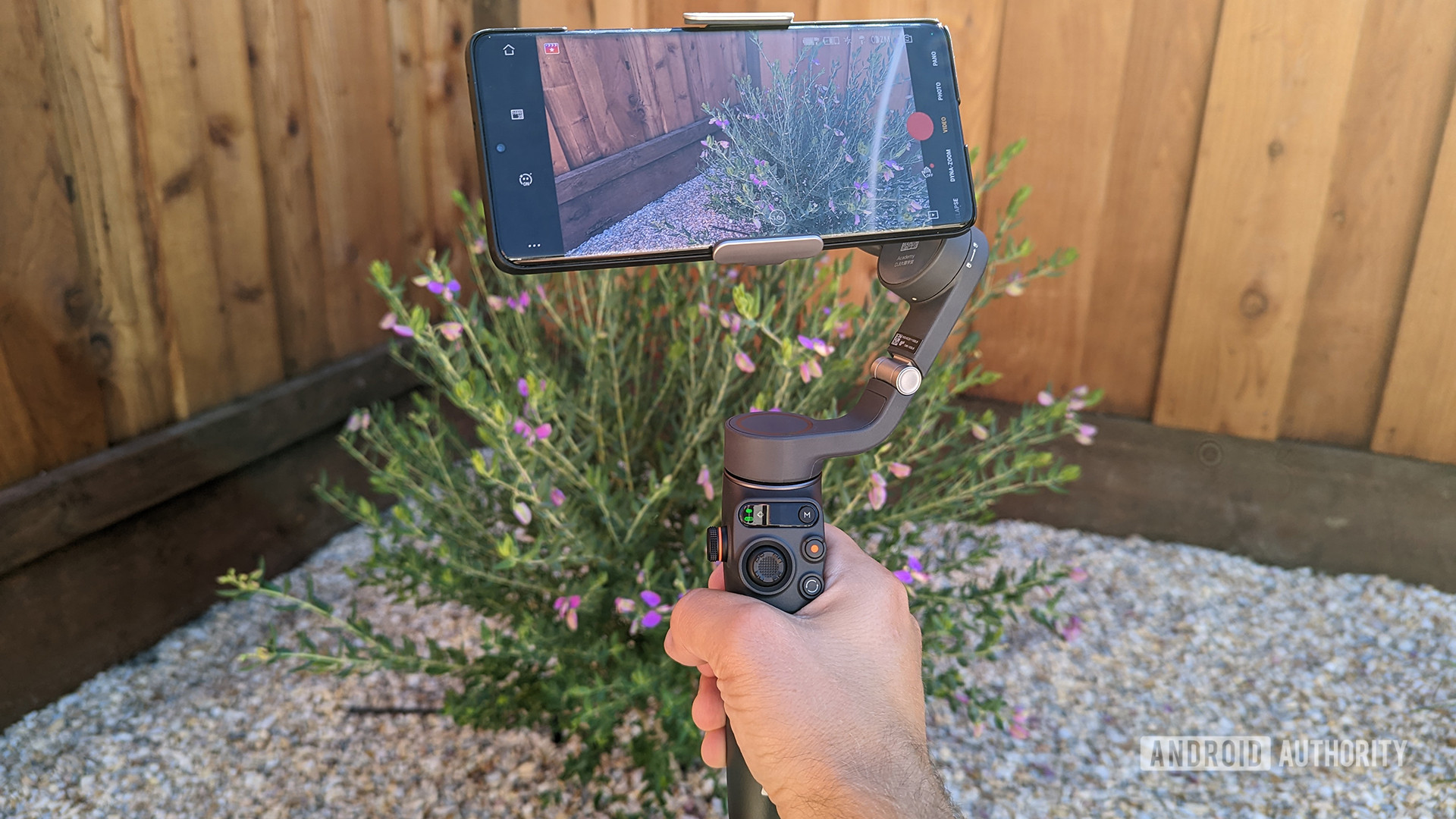 DJI Osmo Mobile 6 Review looking at some flowers - Smartphone gimbals