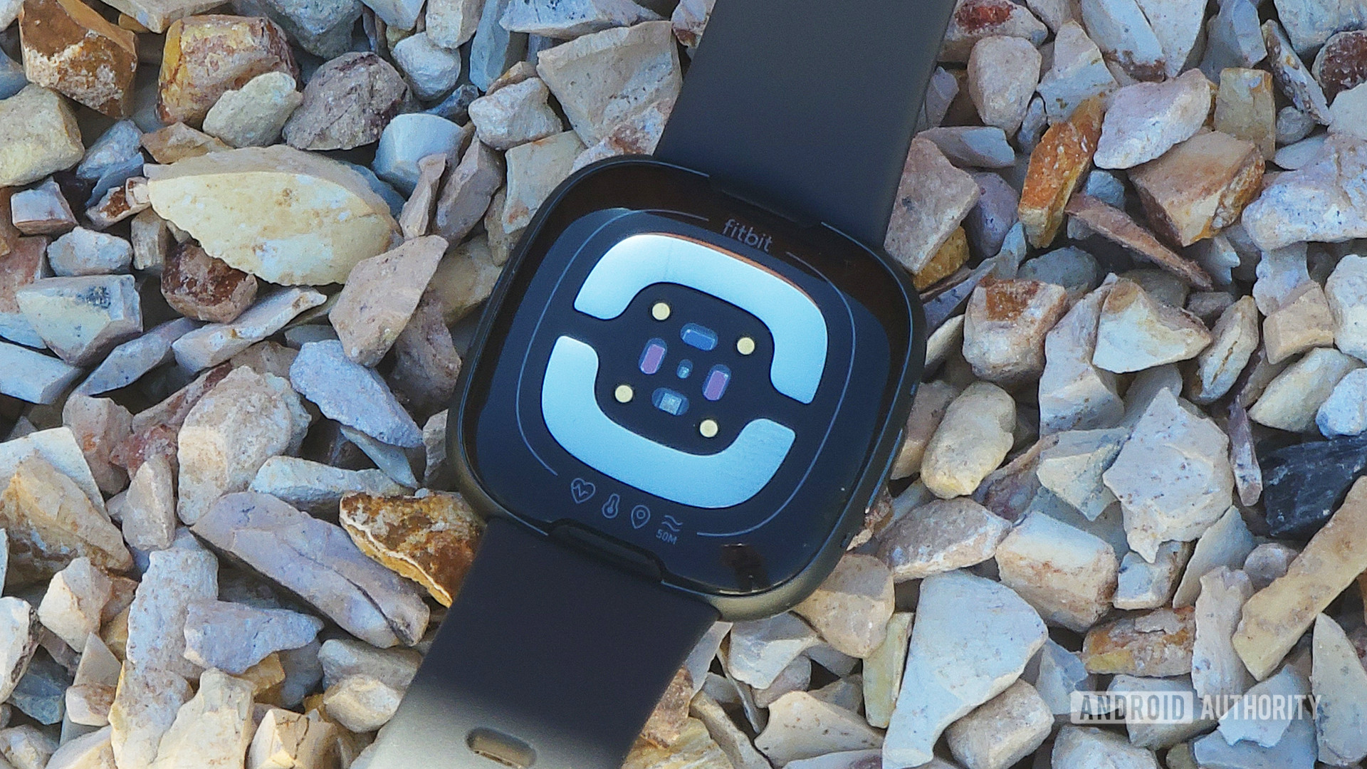 A Fitbit Sense 2 rests face down on pebbles, displaying its sensor package.