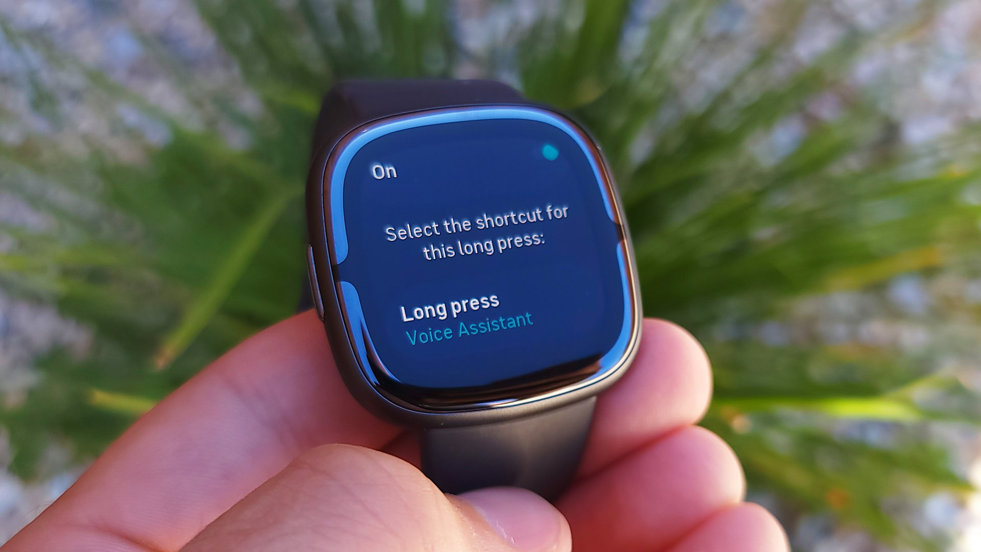 Fitbit Sense 2 Review Voice Assistant Shortcut