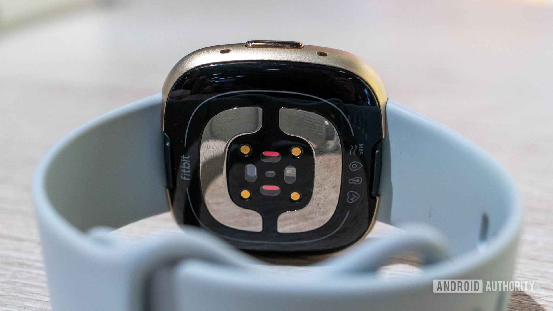 A Fitbit Sense 2 from the rear highlights the rear sensor of the device.