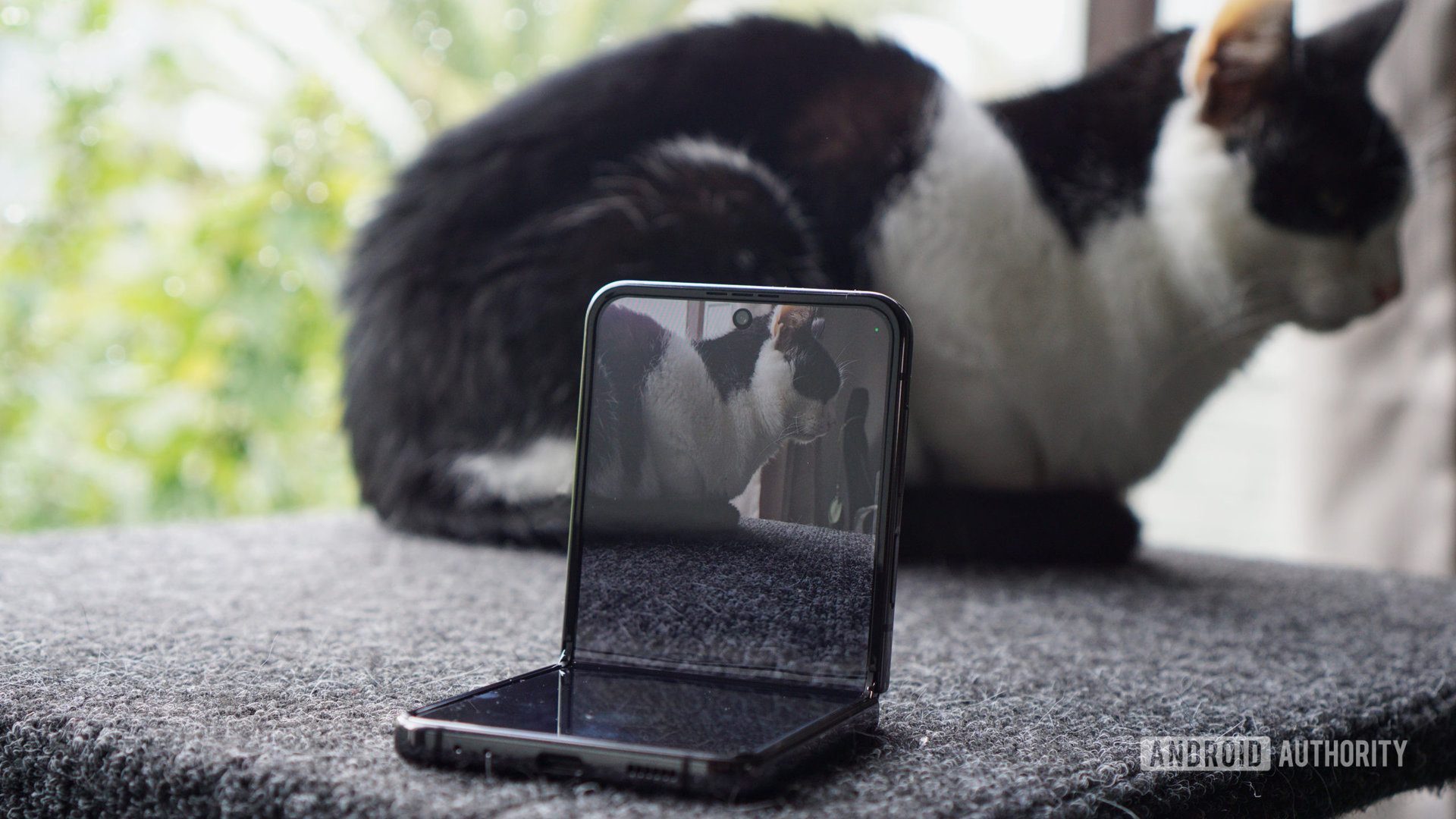 Galaxy Z Flip 4 camera Flex Mode Single Take cat