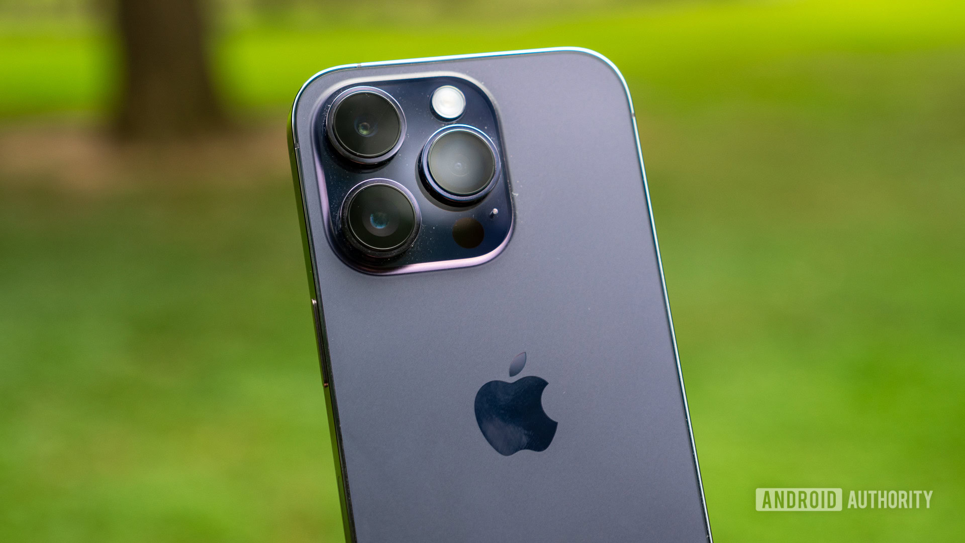 Best iPhone camera 2024: Which iPhone has the best camera?