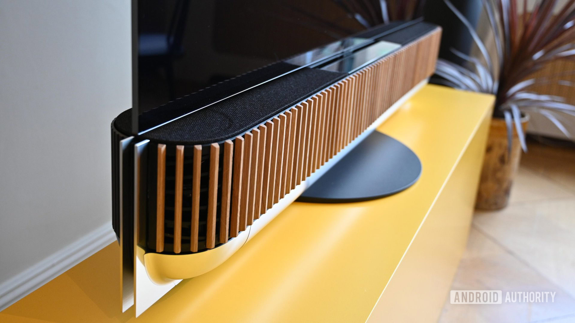 Bang Olufsen Biosound 13 . 스테이지 스피커