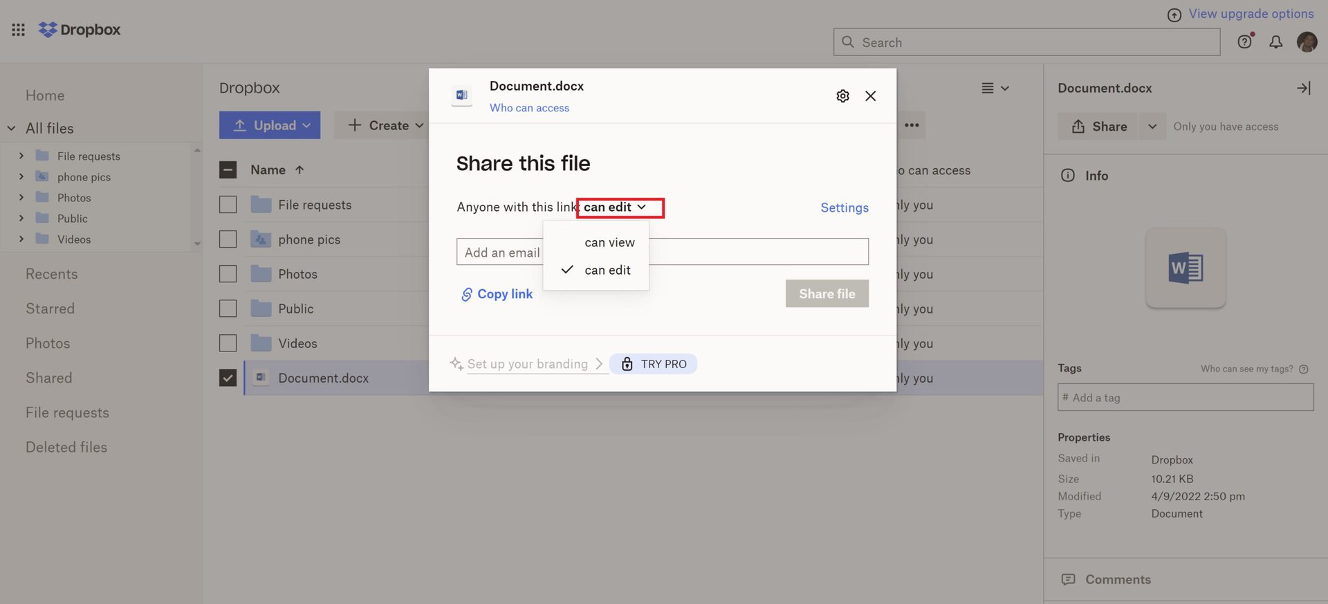 dropbox share file permission