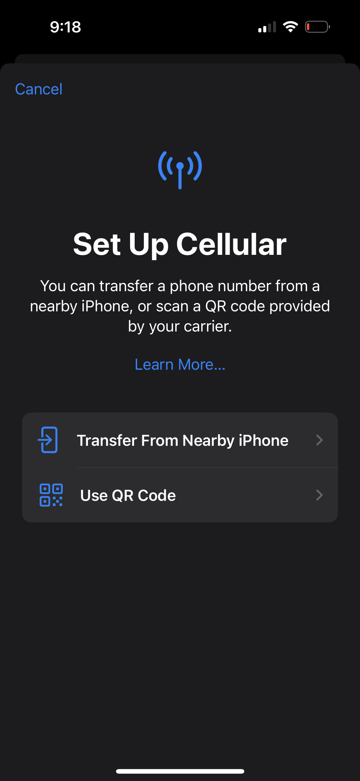 iPhone 14 set up cellular