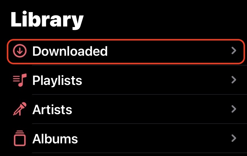 iOS Music app downloaded files