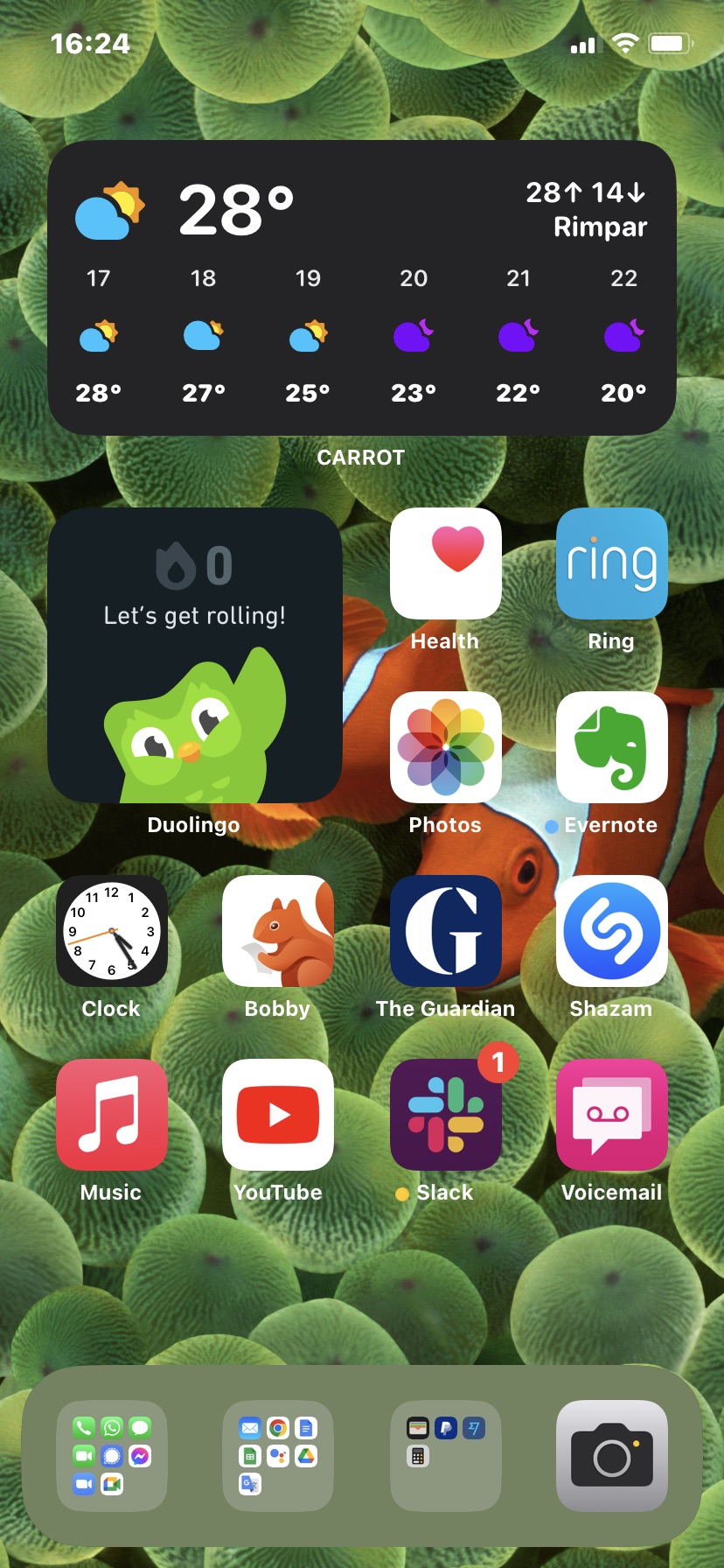 iphone 11 screen downloaded files