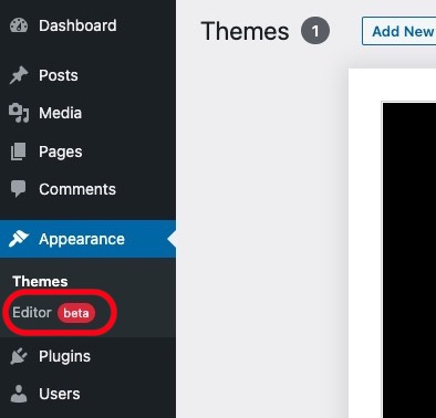 wordpress customize editor