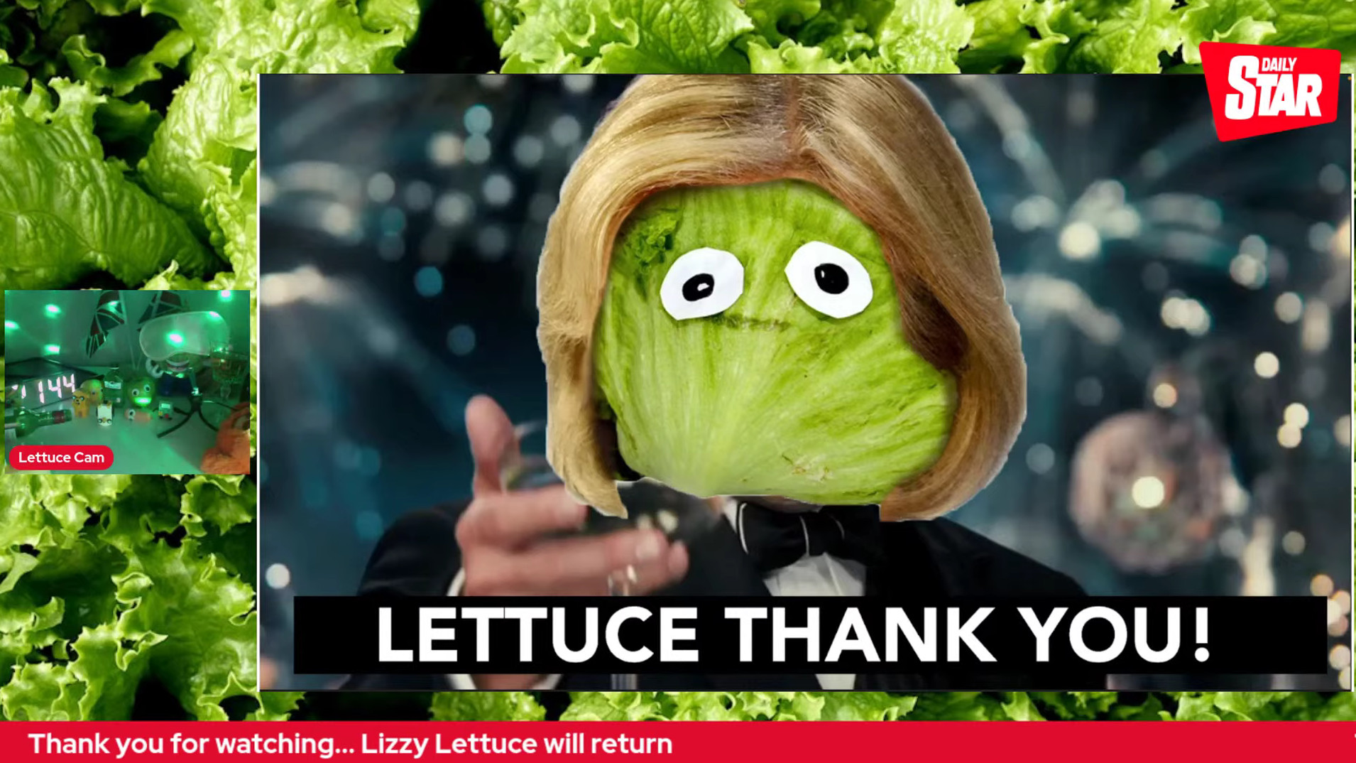 Daily Star lettuce stream