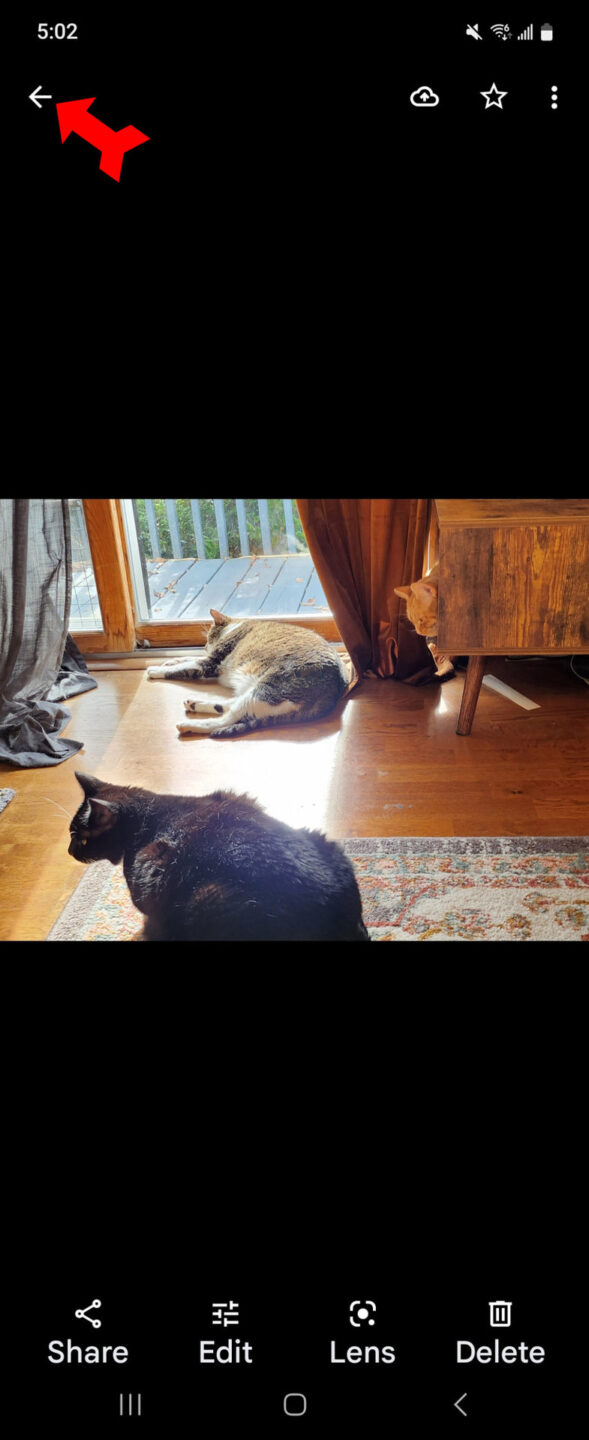 How to make a slideshow with Google Photos Android Authority