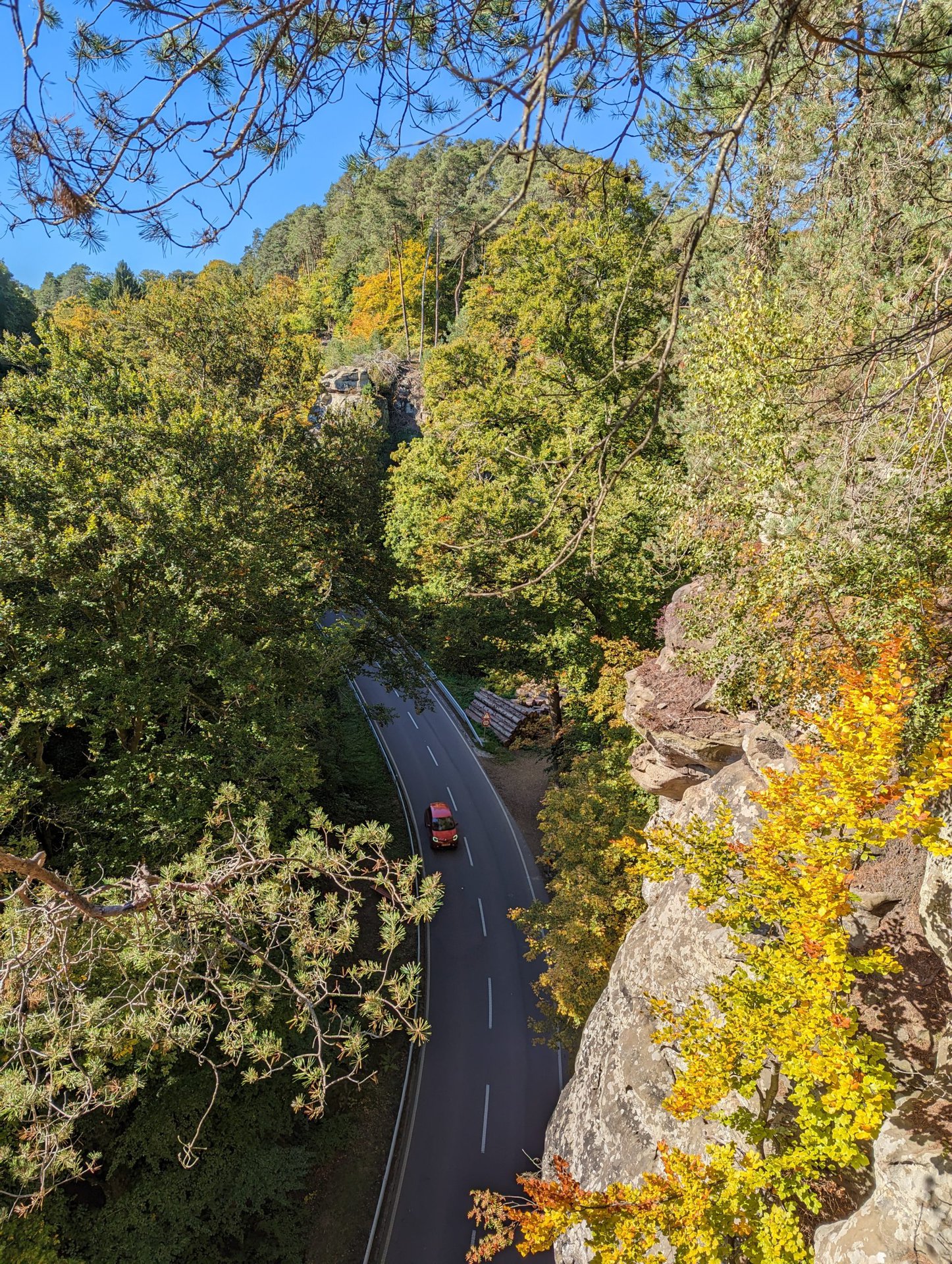 Google Pixel 7 Pro camera samples nature hike 25