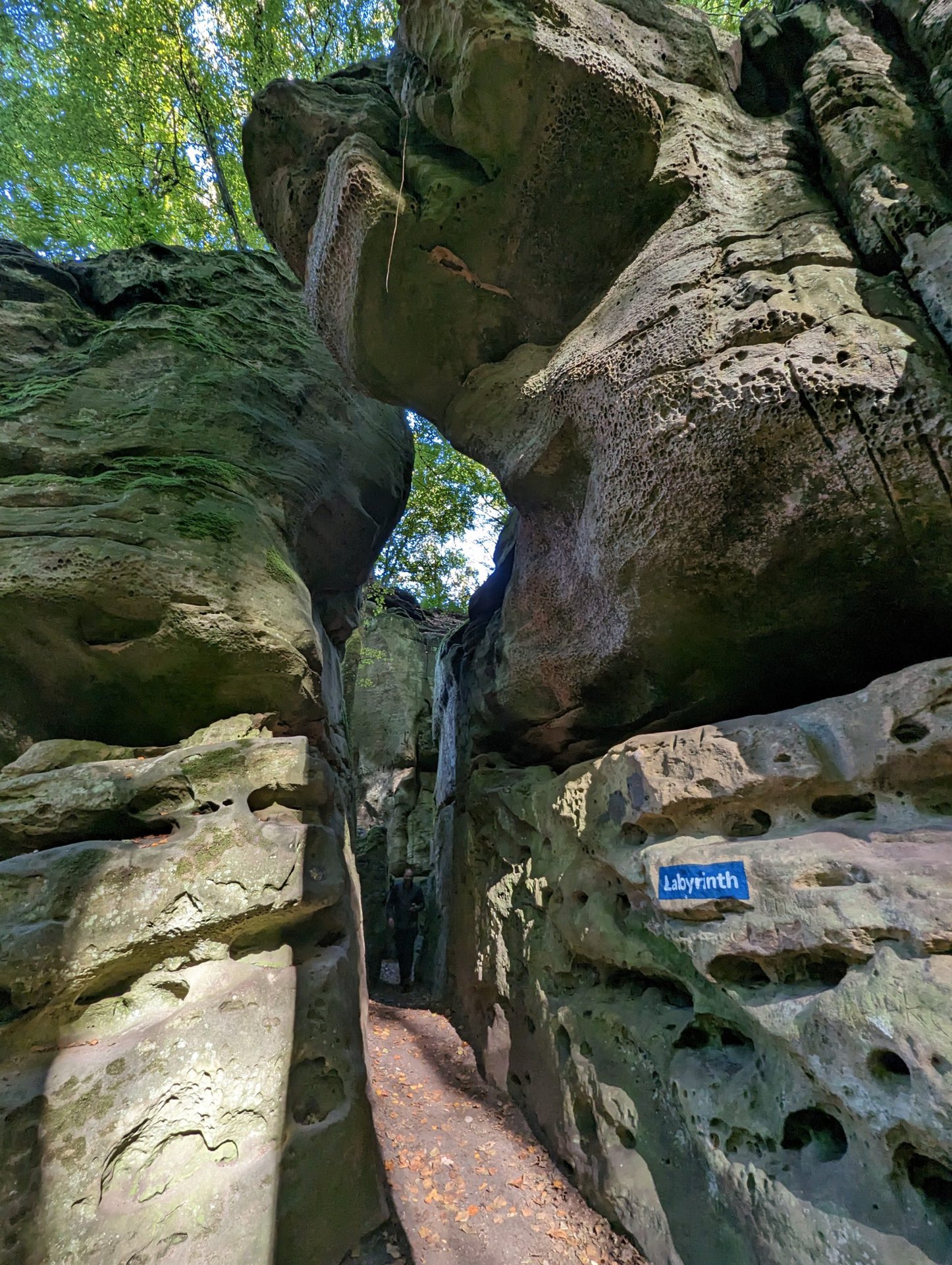 Google Pixel 7 Pro camera samples nature hike 28