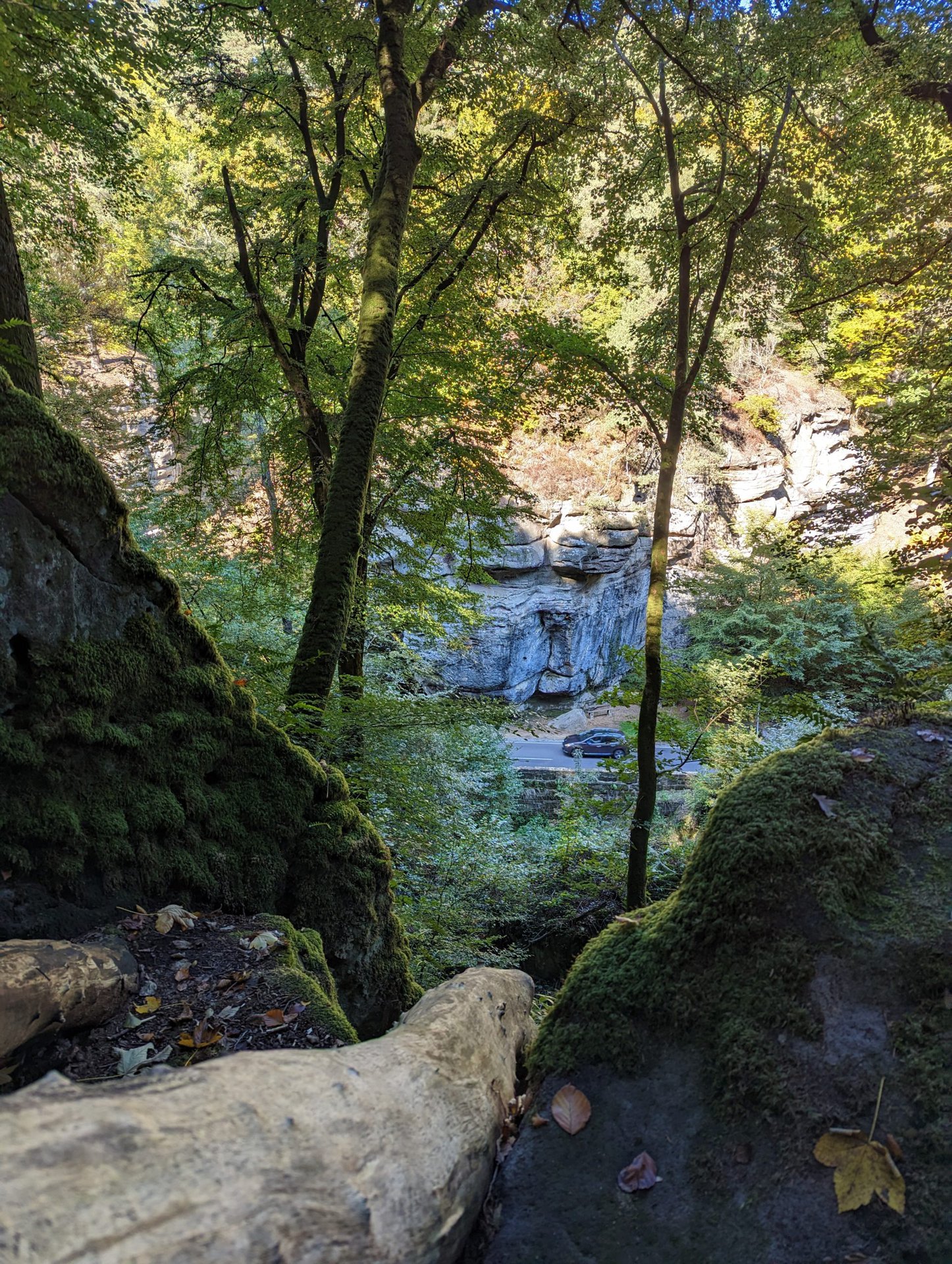 Google Pixel 7 Pro camera samples nature hike 30