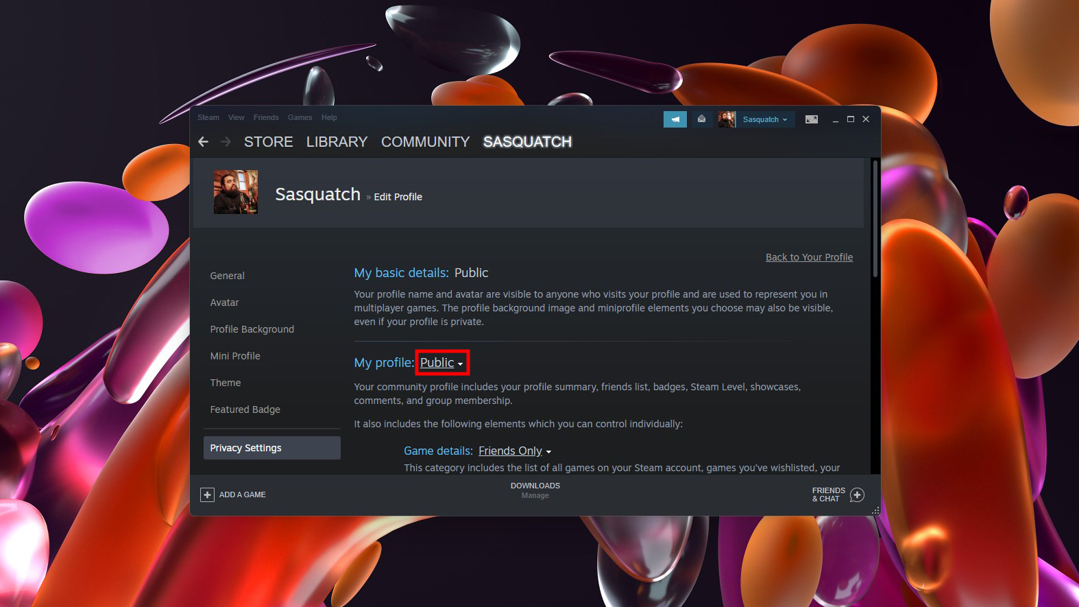 How to hide Steam profile 3
