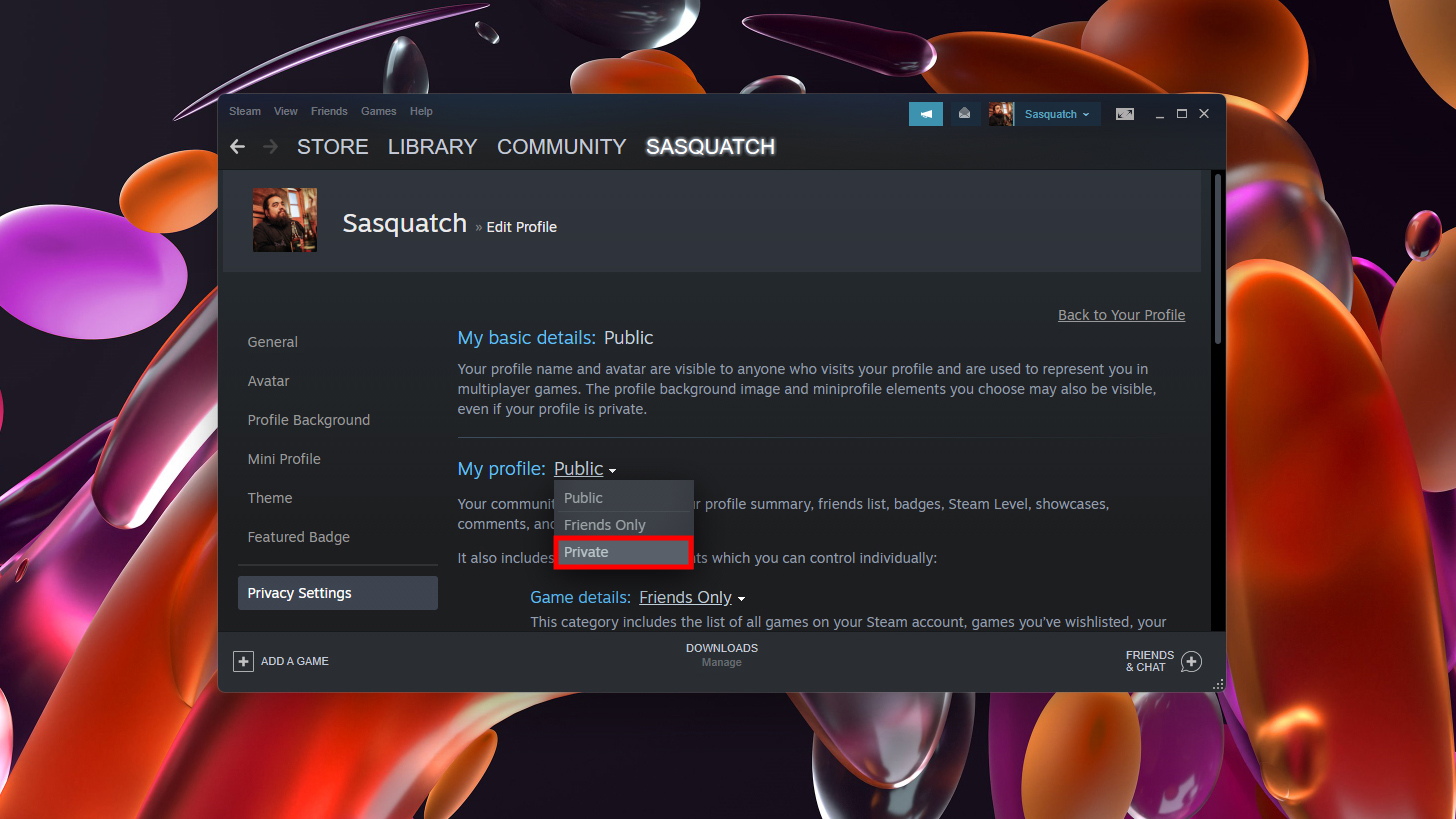 How to hide Steam profile 4