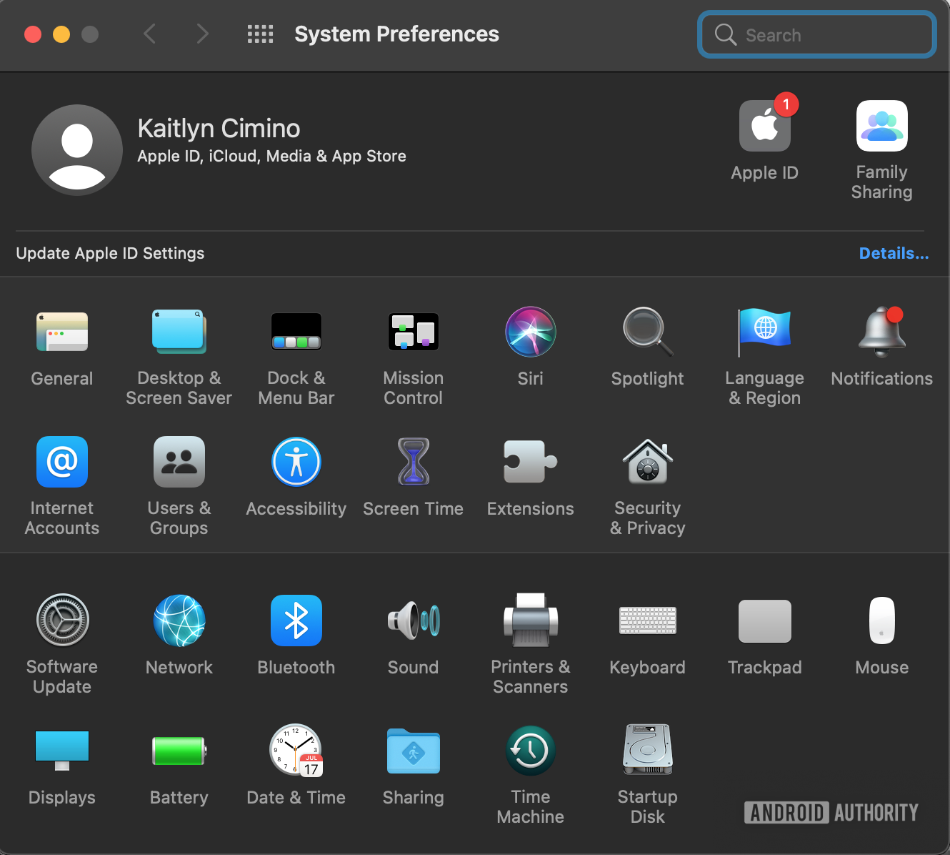 A screenshot of the MacOS Settings app.