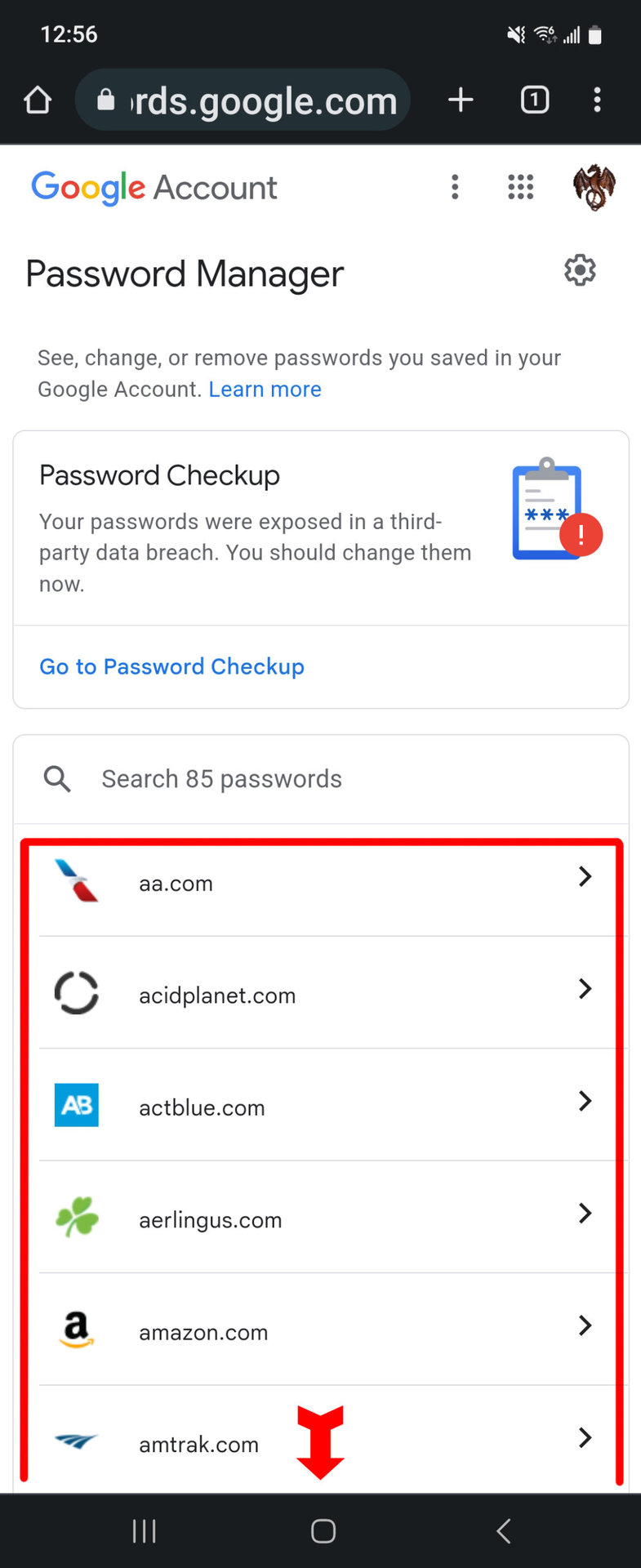 Saved Passwords Password Manager Page