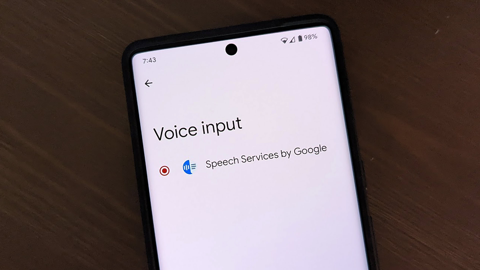 Voice Input Services