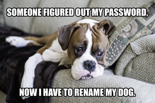 dog password strong password