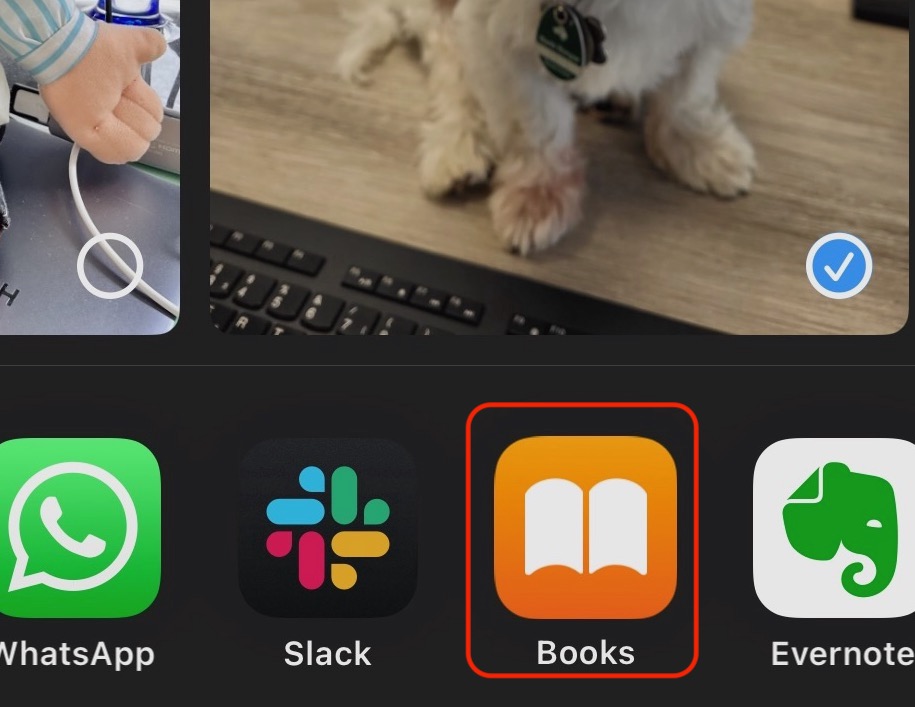 iphone export to books