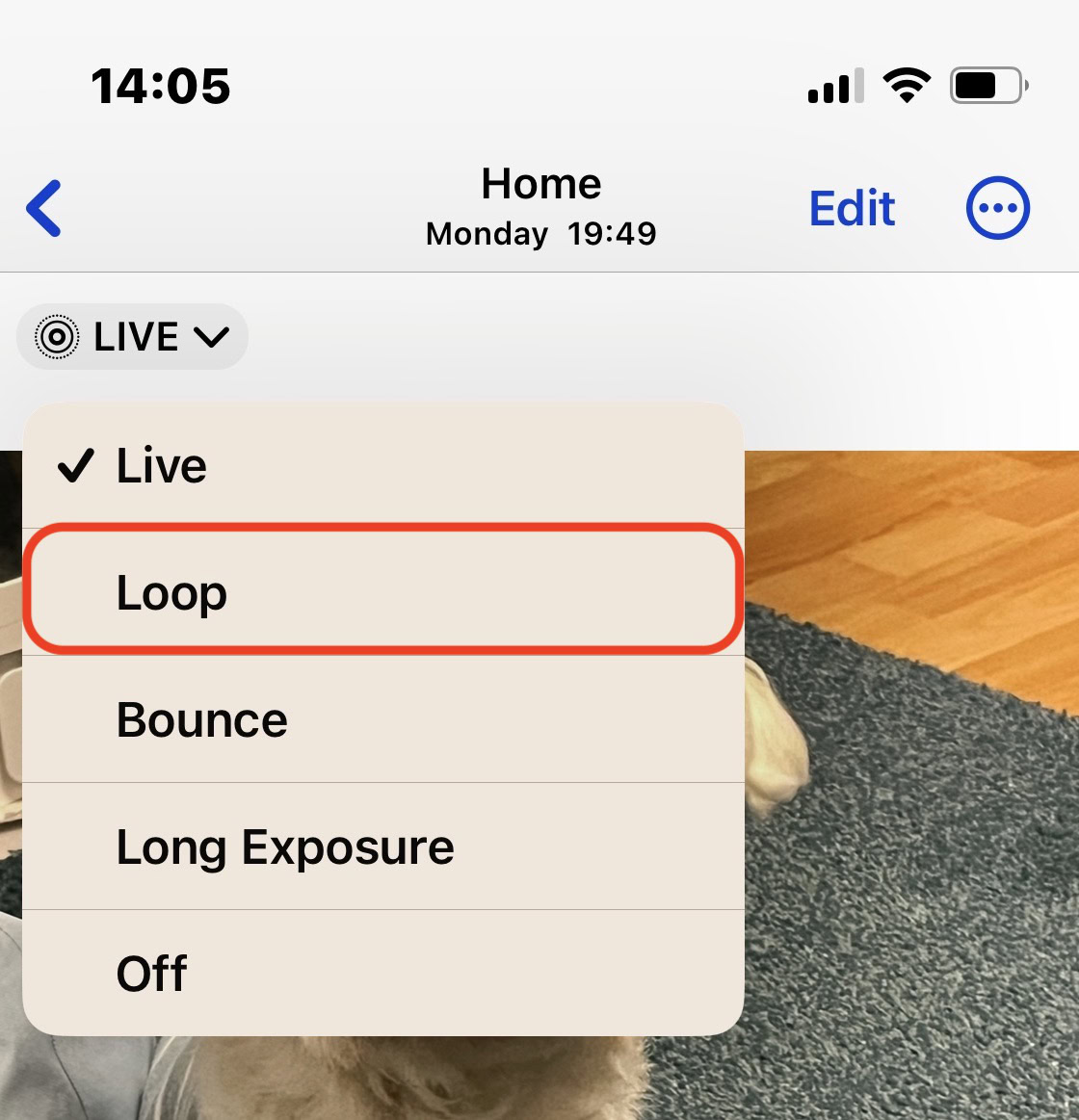 iphone live photos loop