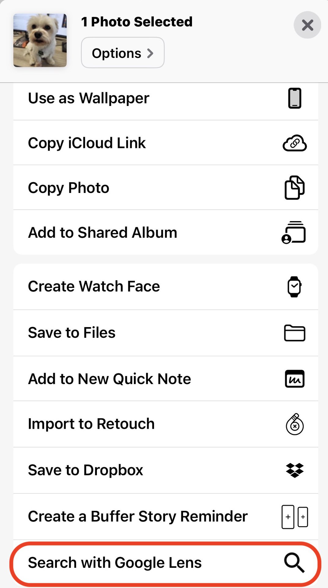 search with google lens iphone share menu