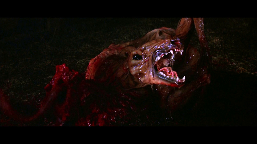 thing dog sci-fi horror movies