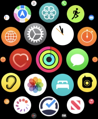 Apple Watch App Drawer