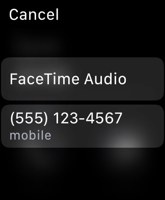 Apple Watch Screenshot FaceTime Audio Contact