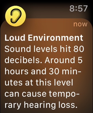 Apple Watch Screenshot Noise App Loud Alert