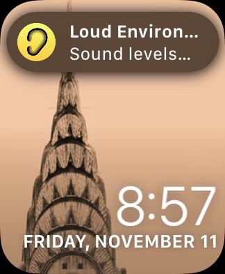 Apple Watch Screenshot Noise App Notification