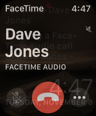 Apple Watch Screenshot Siri Facetime Audio