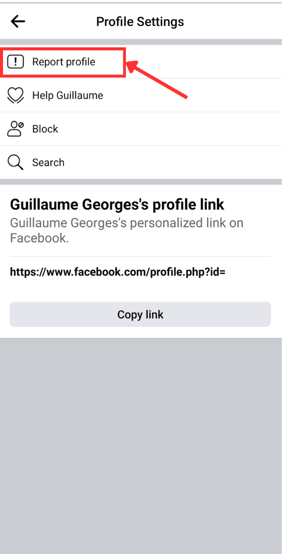 Facebook Report Profile