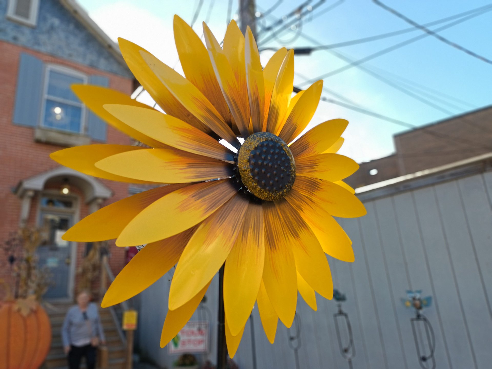 OnePlus Nord N300 sunflower portrait