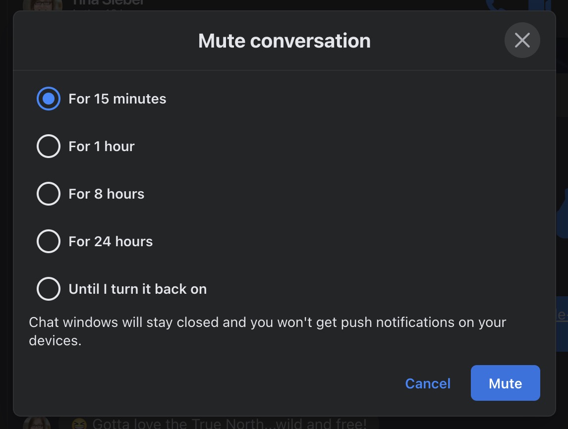 facebook messenger desktop mute options