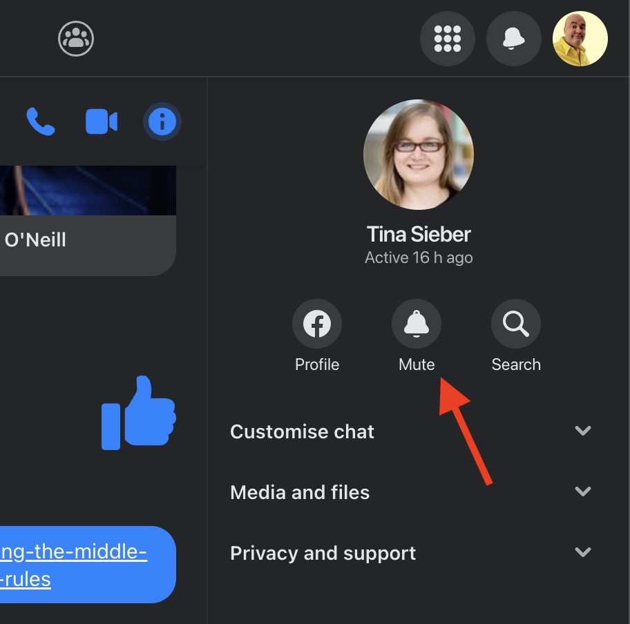 facebook messenger desktop mute