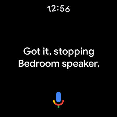 Screenshot of Google Assistant on Wear OS showing speaker answer