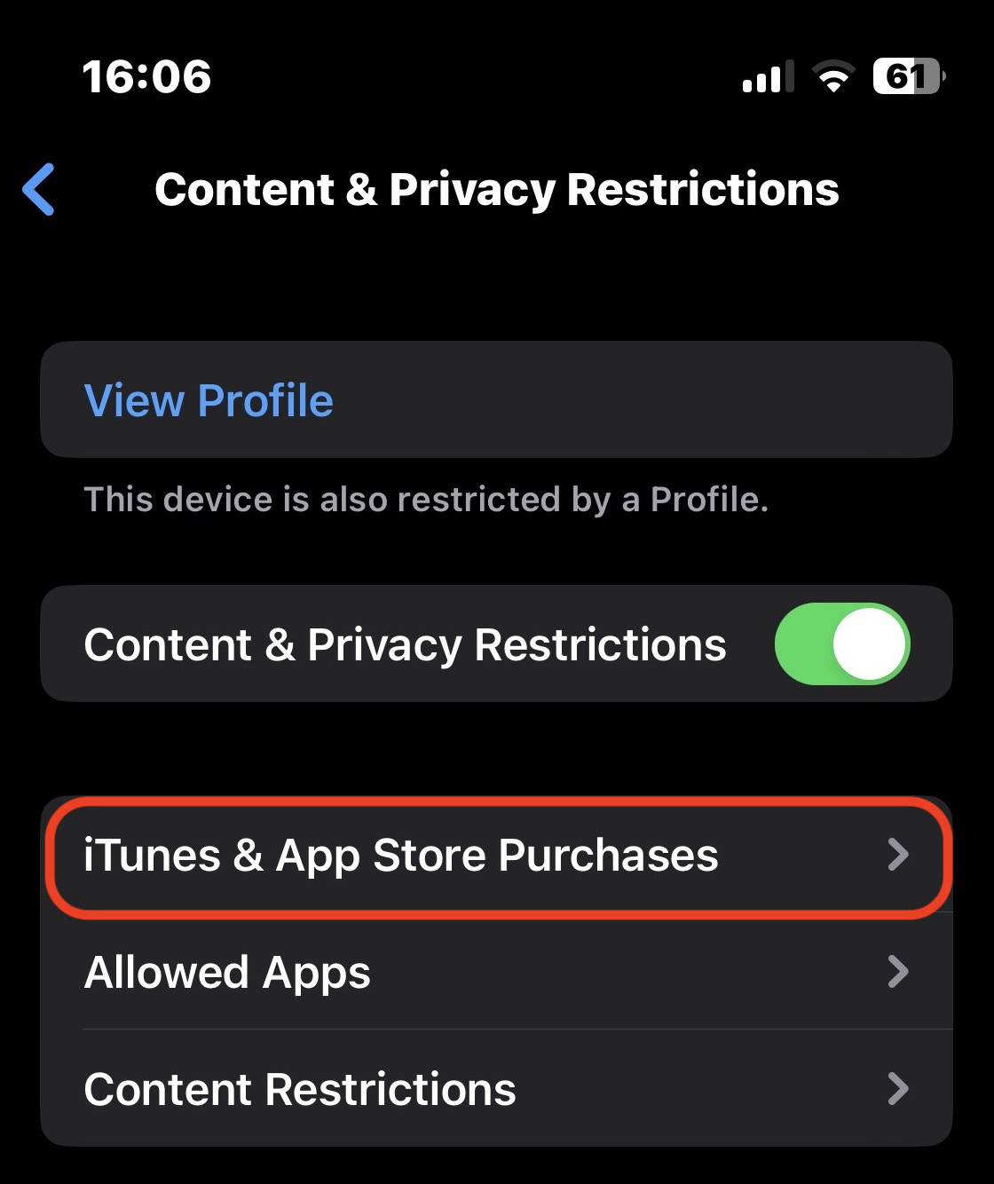 iphone itunes restrictions parental controls