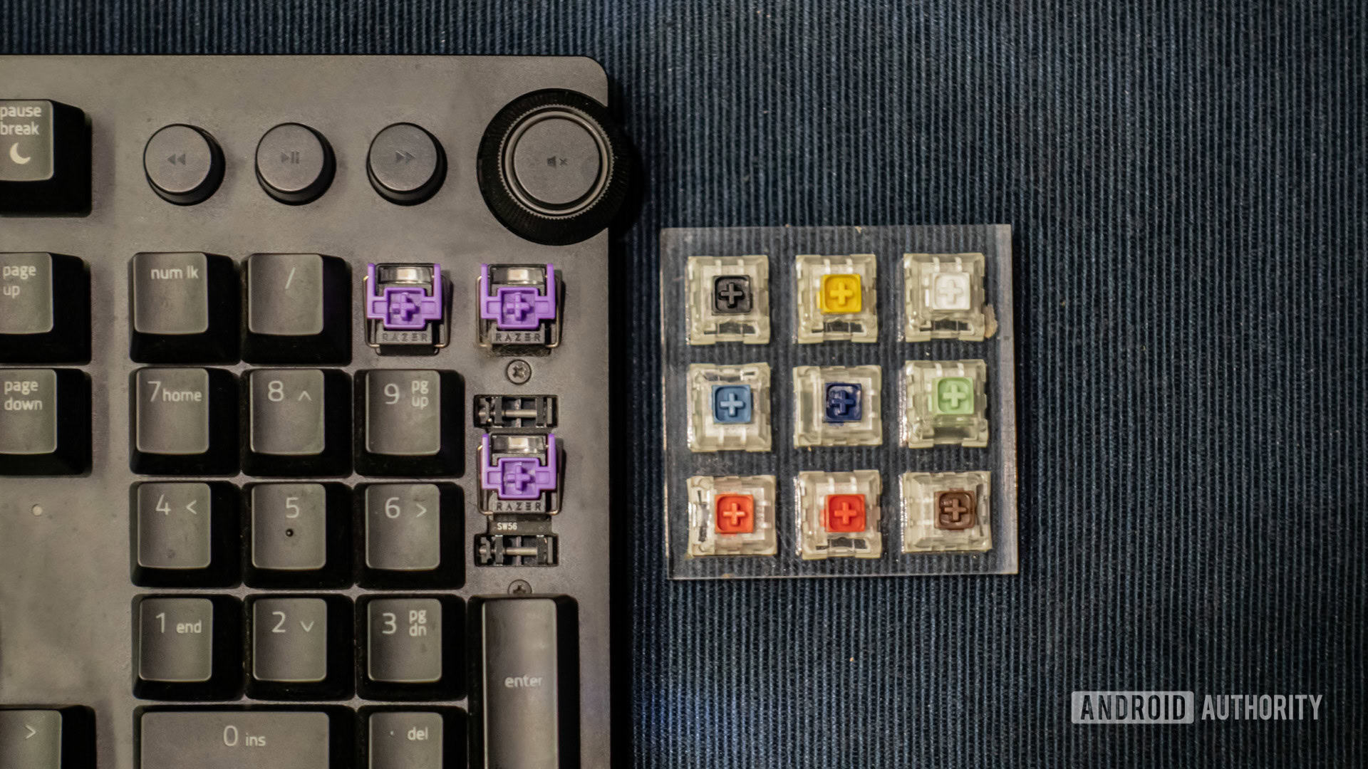 razer purple switches next to Kailh switch tester