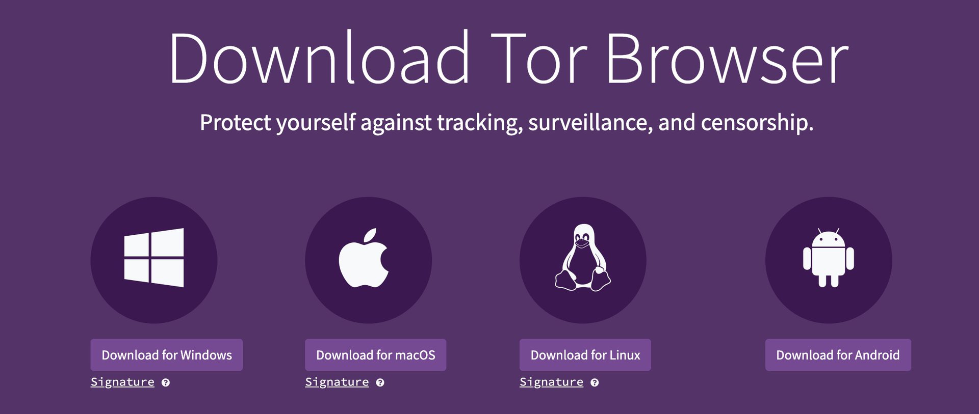 tor browser