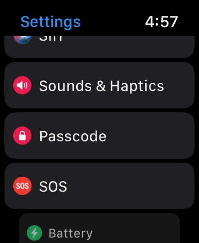 Apple Watch Passcode